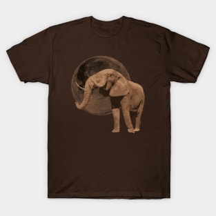 The Elephant and the Moon T-Shirt